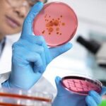 Bioburden testing for microbial quality control